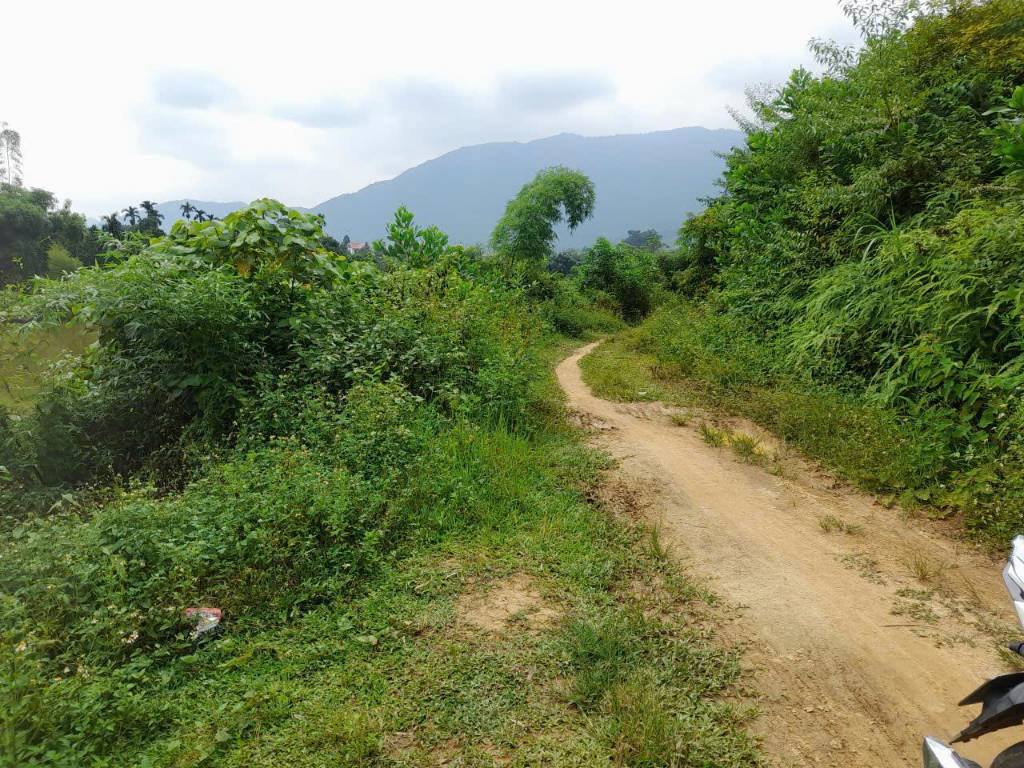 Bán đất nghỉ dưỡng tại Yên Xuân, Hà Nội, diện tích 2.370m2